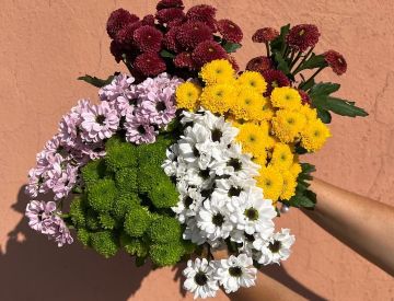 У нас свежая поставка Голландских срезанных цветов! 